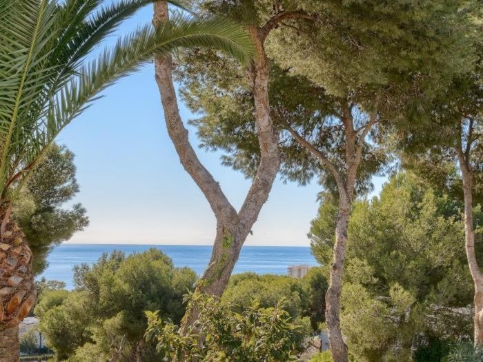 Miraflores Jardin B 32, Pool, Wifi In Mijas Costa La Cala De Mijas Zewnętrze zdjęcie